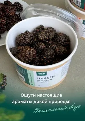 Цукаты из сосновых шишек с лимоном и мятой, 150 г
