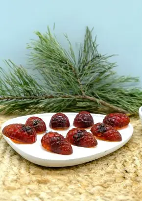 Мармелад с сосновой шишкой, 110 г