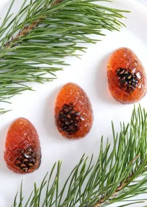 Мармелад с сосновой шишкой, 250 гр Мармелад с сосновой шишкой, 250 гр
