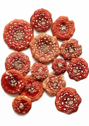 Мухомор Красный, шляпки сушеные в вакууме, 50 г Мухомор Красный, шляпки сушеные в вакууме, 50 г